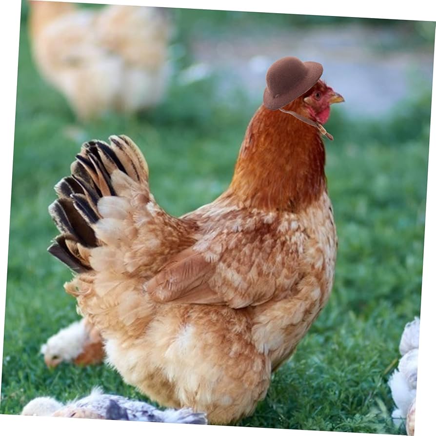 ひよこちゃん♡にわとり帽 ひよこちゃん♡にわとり帽